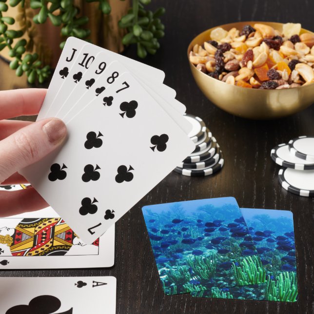 Foto på undervattensfisk av blått Discus-fisk Casinokort (På plats)