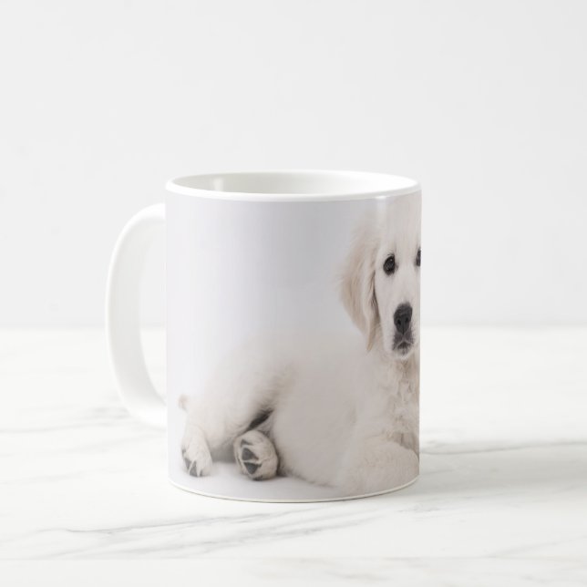 Foto på valp av Golden Retriever Kaffemugg (Framsida vänster)