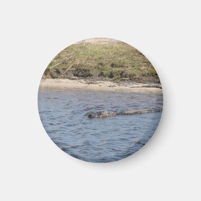 Foto på vild alligator vid flodbank magnet (Framsidan)