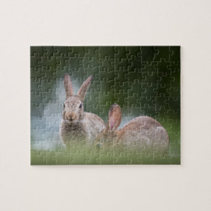 Foto på vilda kaniner pussel