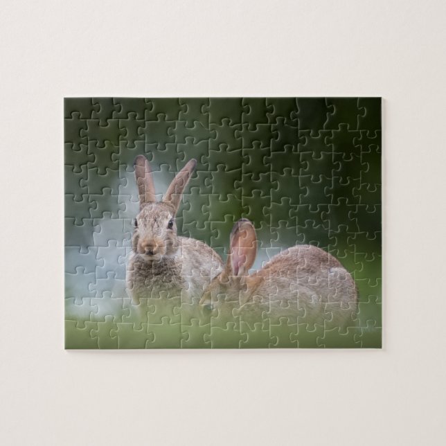 Foto på vilda kaniner pussel (Horisontell)