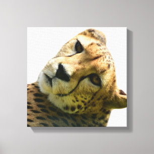 Foto på vilden från leopard canvastryck