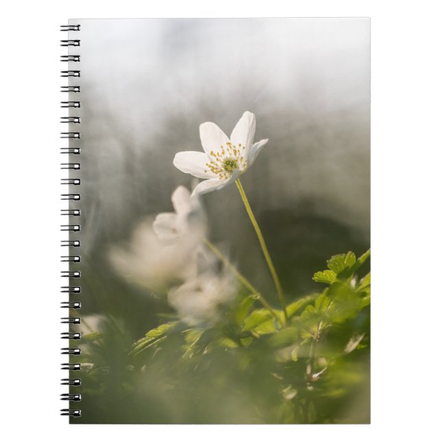 Foto på vit blomma anteckningsbok (Framsidan)