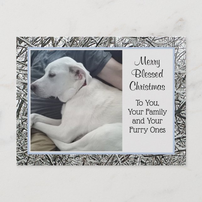 Foto på White Hund med Pappa Winter Snö jul Helg Vykort (Framsida)