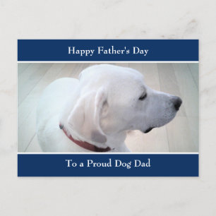 Foto på White Labrador Retriever Mix Cute Profile Helg Vykort