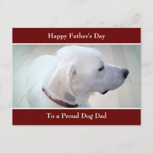 Foto på White Labrador Retriever Mix Cute Profile Helg Vykort
