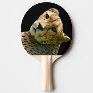 Foto på zoo i djungeldjungel av animerad vild pingisracket