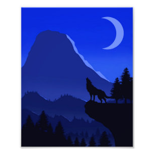 Foto Paisagem de Lobo Monocromática Azul