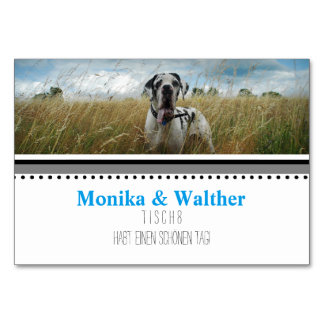 Foto Platzkarten Bordsnummer