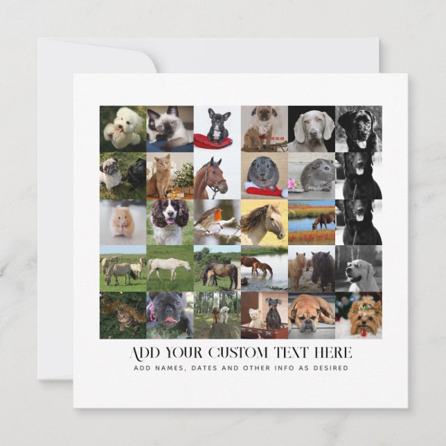 FOTO PRESENT MOM PAPPÅ FARFAR MORMOR HUSDJUR VÄNNE INBJUDNINGAR (Framsida)