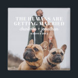 Foto Rolig hund Spara datum Bröllop Magnet<br><div class="desc">Foto Rolig hund Spara magnet Date Bröllop</div>