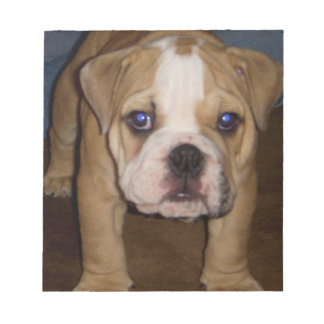 Foto Te, Anteckningsblock för platta