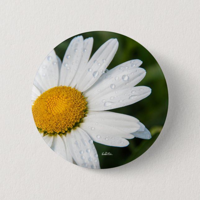 foto, une margueritte, font vert knapp (Framsida)