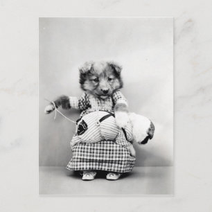 Foto vintage chien vykort