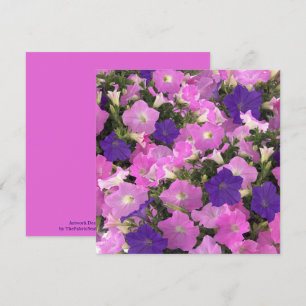 Fotobild av Rosa och Lila blommor på morgonglaset Kort