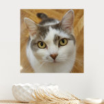 Fotobild för anpassningsbar<br><div class="desc">Ladda upp fotot och skapa kanvastrycket Faux för perfektens personlig. Du kan ÖVERFÖRA DESIGN på andra Zazzle-produkter och justera den så att den passar de flesta Zazzle-objekt. Du kan också klicka på knappen CUSTOMIZE för att lägga till, ta bort eller ändra information som bakgrundsbild färg, text, teckensnitt eller vissa bilder....</div>