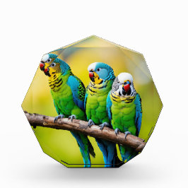 Fotoblock
