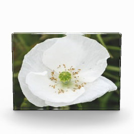 Fotoblock med blommor