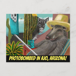Fotobombad i Ajo Arizona, Arizona vykort