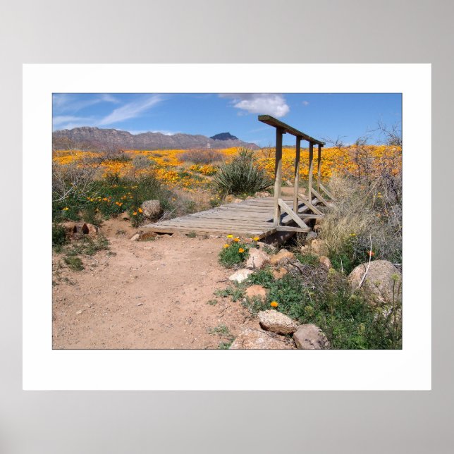 Fotobrygga och poppies poster (Framsidan)