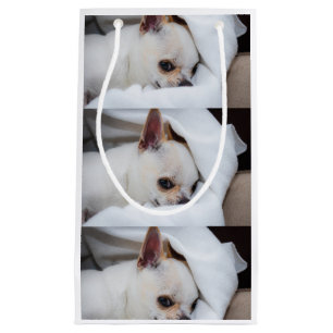 Fotochihuahua mönster i din hund-anpassningsbar