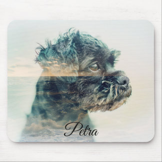 Fotoeffekt för Affenpinscher Hund sommarblocket MA Musmatta