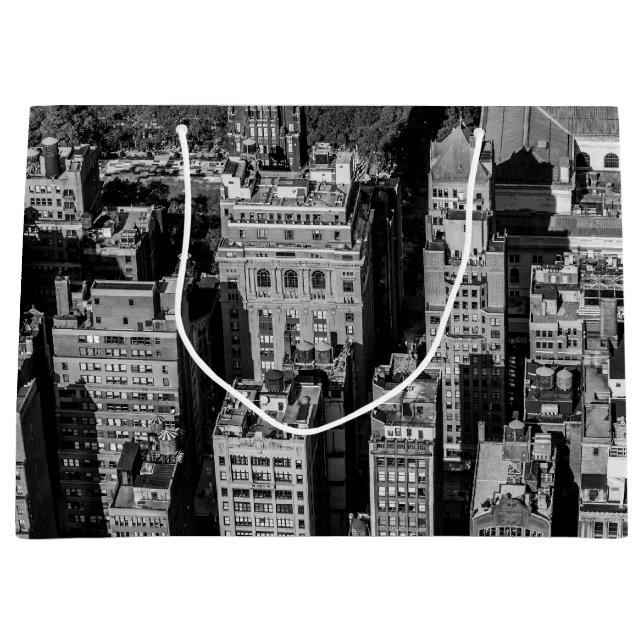 Fotoet av den New York City horisonten landskap (Framsidan)