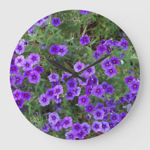 Fotoet av den purpurfärgade phloxen blommar på a stor klocka