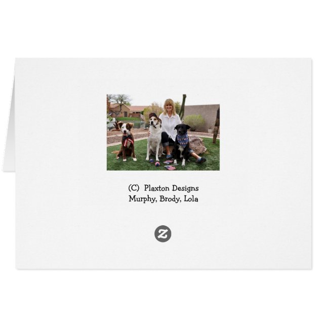 Fotoet av hunden badar in, badmössan, örhängen hälsningskort (Baksidan Horizontal)