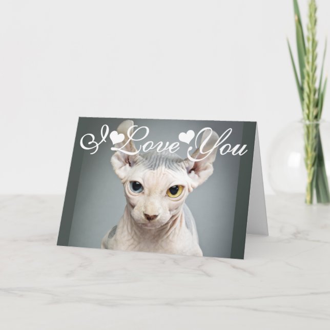Fotoet för älvaSphinxkatten avbildar mig älskar Helgkort (Framsida)