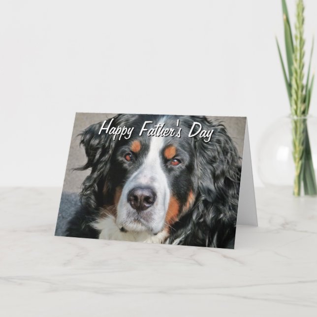 Fotoet för den Bernese berghunden avbildar Kort (Framsida)