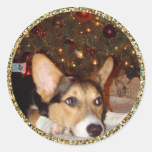 Fotoetikett för guld Glitter Runt Klistermärke