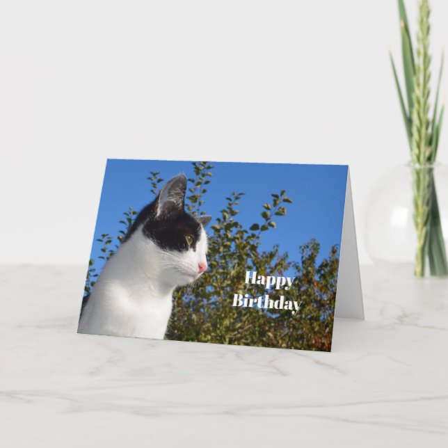 Fotofödelsedag för kattsvart och vit profil kort (Framsida)