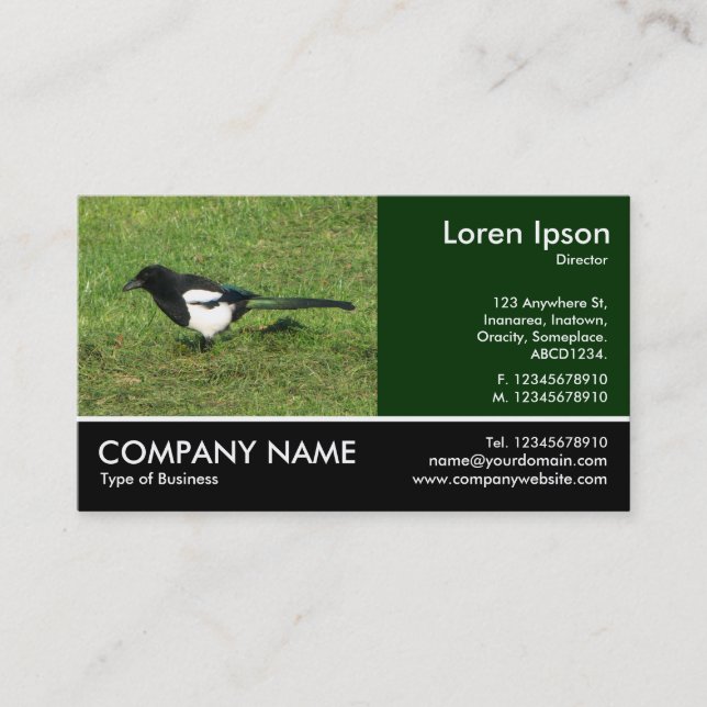 Fotofoto - europeisk Magpie Visitkort (Framsida)