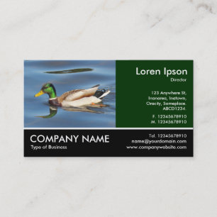 Fotofoto - Mallard Anka Visitkort
