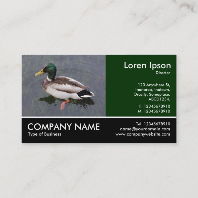 Fotofoto - Mallard Anka Visitkort (Framsida)