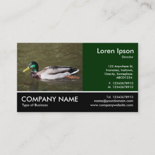Fotofoto - Mallard Anka Visitkort