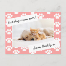 Fotofotot mors dag hund mamma