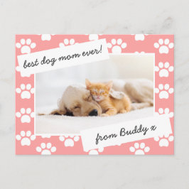 Fotofotot mors dag hund mamma vykort