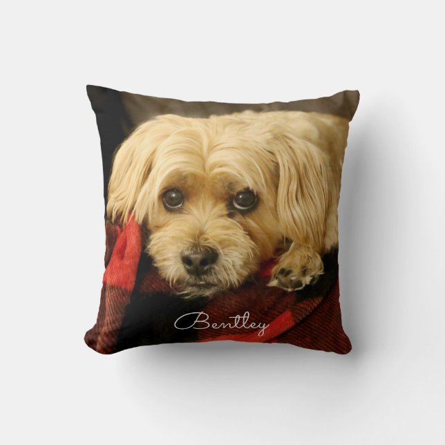 Fotofyllning av Fullt| Grönt fastställd Kudde (Framsida)