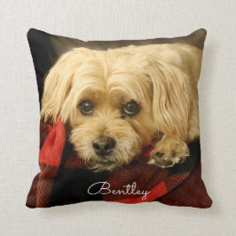 Fotofyllning av Fullt| Grönt fastställd Kudde