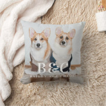 Fotofyllning av kute Pet Friends Hund älskare Mono