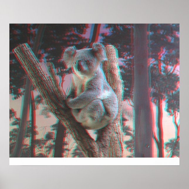 Fotogena Koala-hål för kamera i 3D Poster (Framsidan)