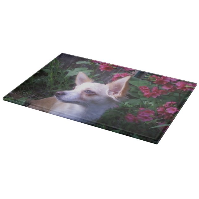 Fotoglasskärning/charkuteribräde (Hörn)