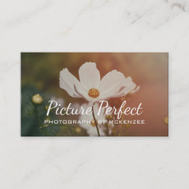 Fotograf,Fotografi, Affärskort Visitkort