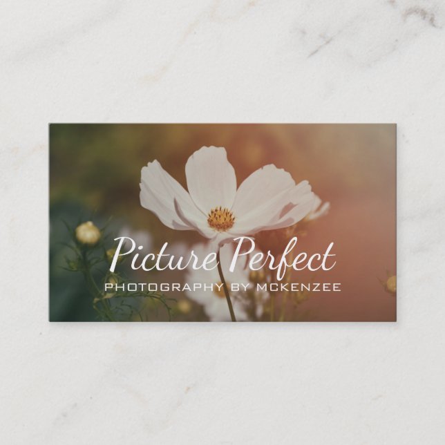 Fotograf,Fotografi, Affärskort Visitkort (Framsida)