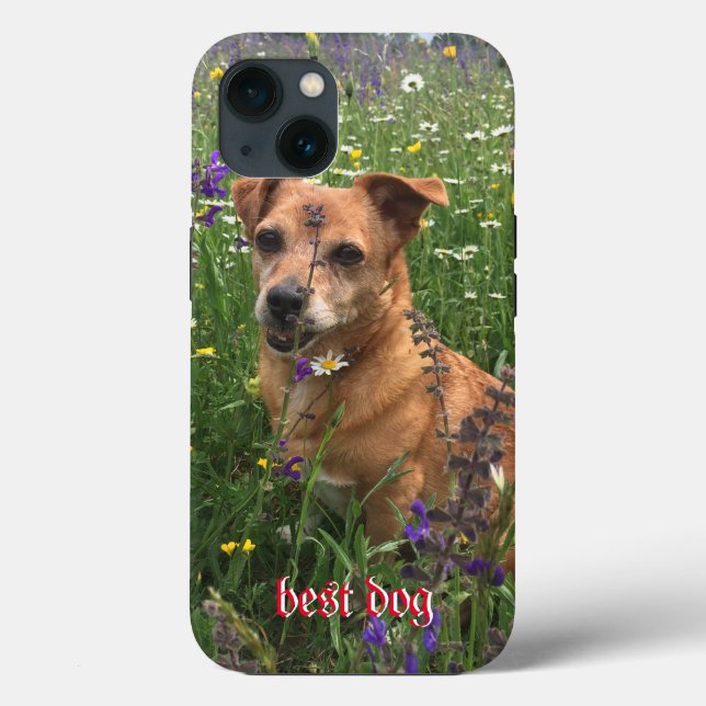 Fotograf Mobiltelefonsetui (Baksida)