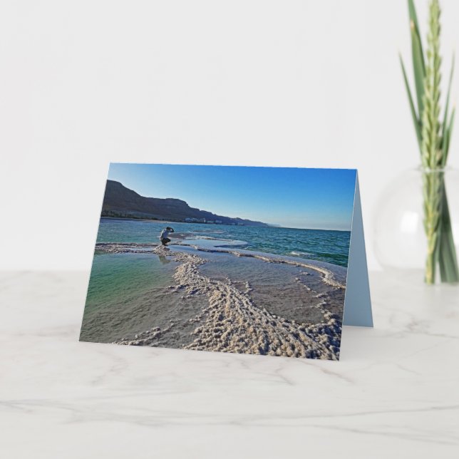 Fotograf vid Dead Sea, Tillfällen Hälsning Kort (Framsida)