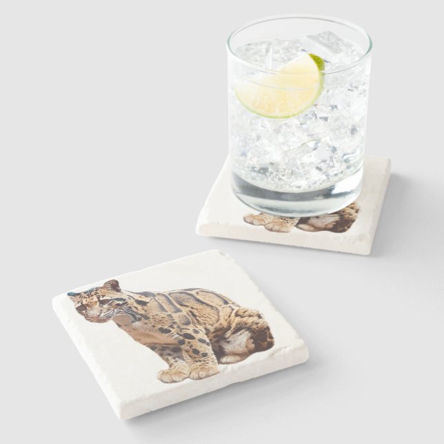 Fotografdjungel, stort kattdjur stenunderlägg (Sidan)