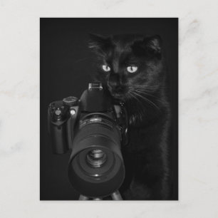 Fotografen - vykort